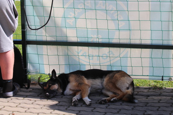 Aritma - Hořovice 4