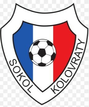 Sokol Kolovraty logo
